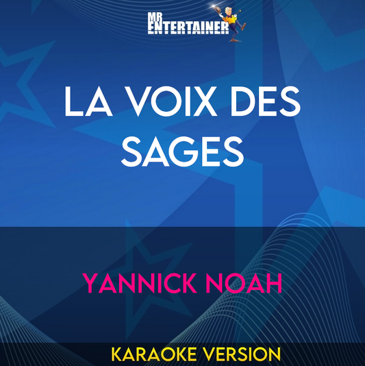 La Voix Des Sages - Yannick Noah (Karaoke Version) from Mr Entertainer Karaoke