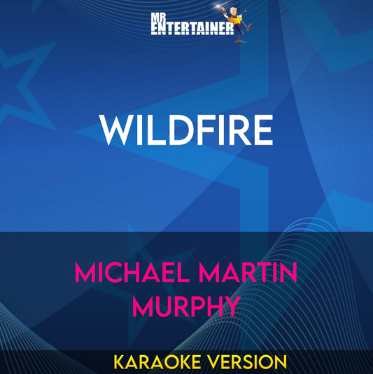 Wildfire - Michael Martin Murphy (Karaoke Version) from Mr Entertainer Karaoke