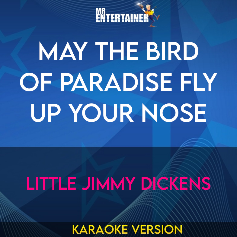 May The Bird Of paradise Fly Up Your Nose - Little Jimmy Dickens (Karaoke Version) from Mr Entertainer Karaoke