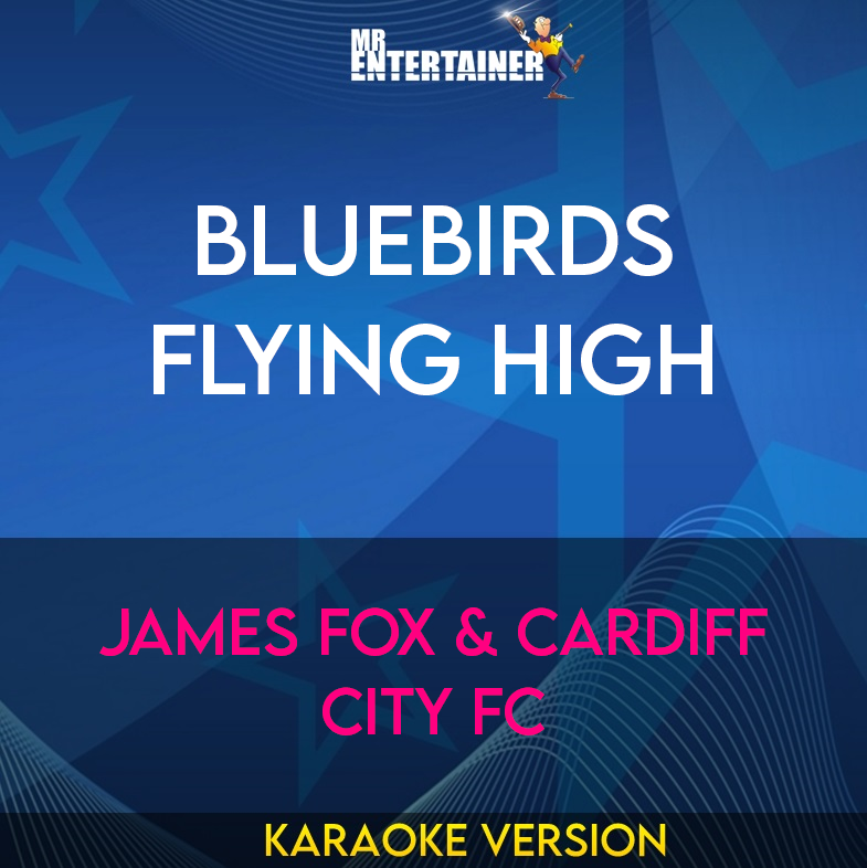 Bluebirds Flying High - James Fox & Cardiff City FC (Karaoke Version) from Mr Entertainer Karaoke