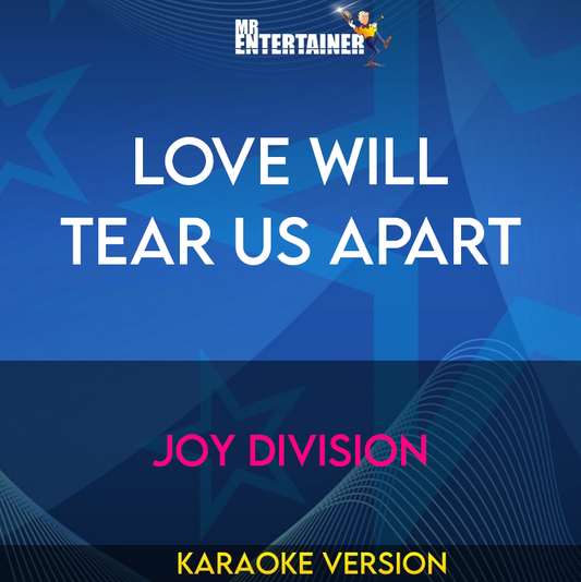 Love Will Tear Us Apart - Joy Division (Karaoke Version) from Mr Entertainer Karaoke