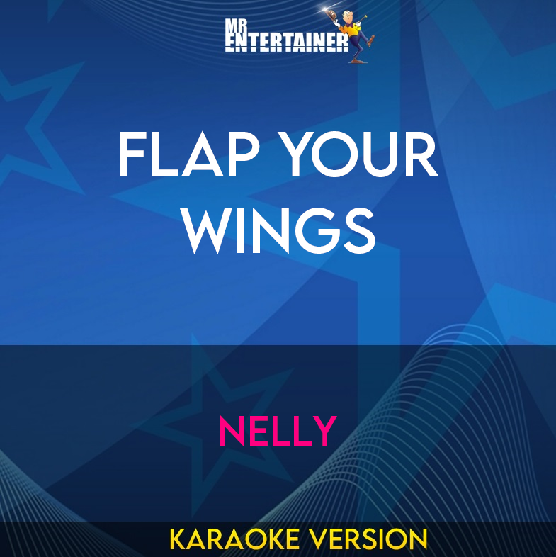 Flap Your Wings - Nelly (Karaoke Version) from Mr Entertainer Karaoke