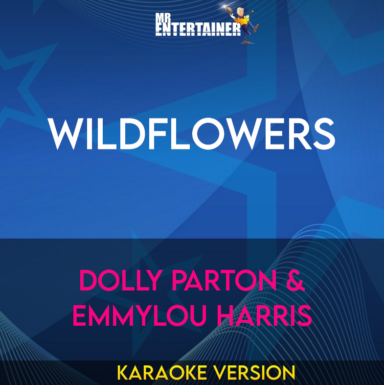 Wildflowers - Dolly Parton & Emmylou Harris (Karaoke Version) from Mr Entertainer Karaoke