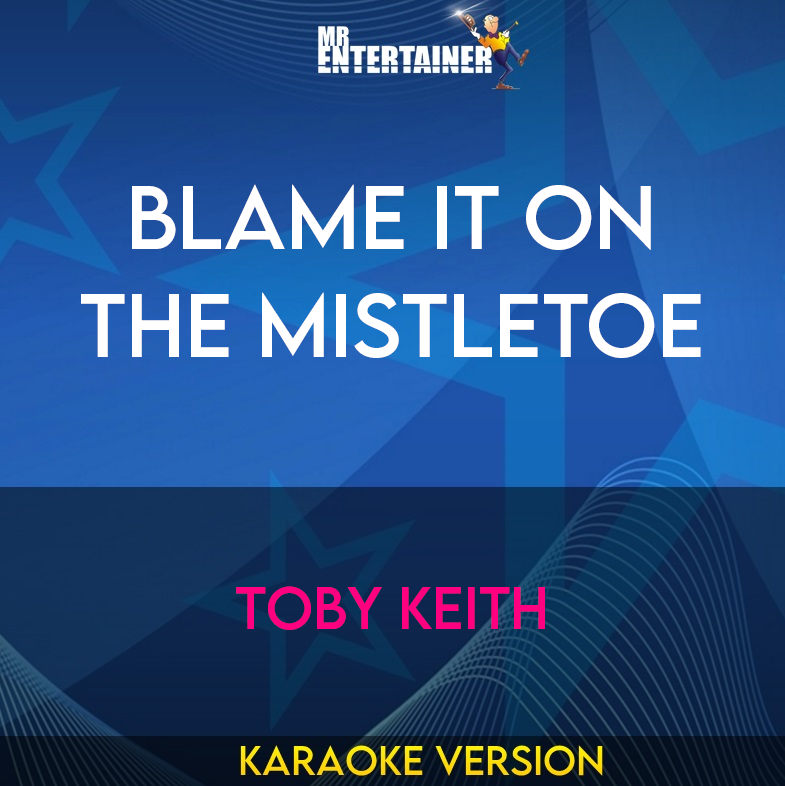 Blame It On The Mistletoe - Toby Keith (Karaoke Version) from Mr Entertainer Karaoke