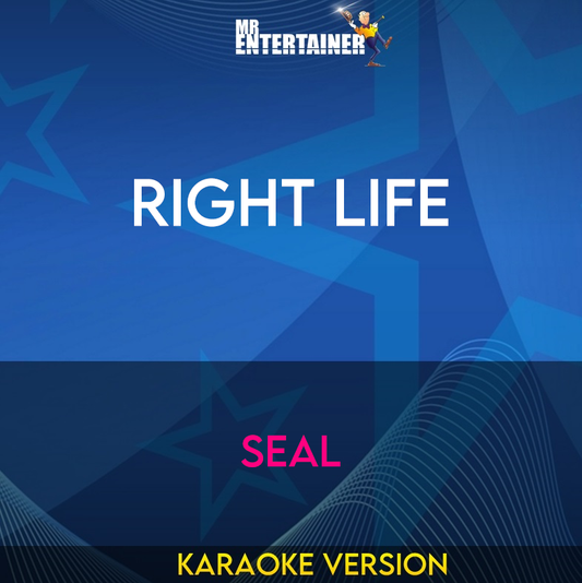 Right Life - Seal (Karaoke Version) from Mr Entertainer Karaoke