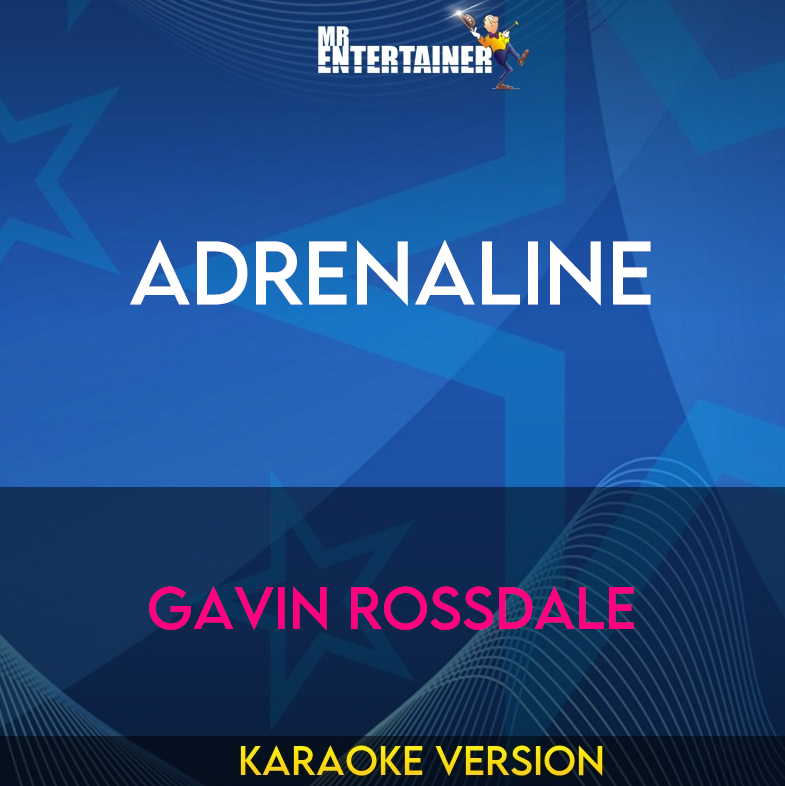 Adrenaline - Gavin Rossdale (Karaoke Version) from Mr Entertainer Karaoke