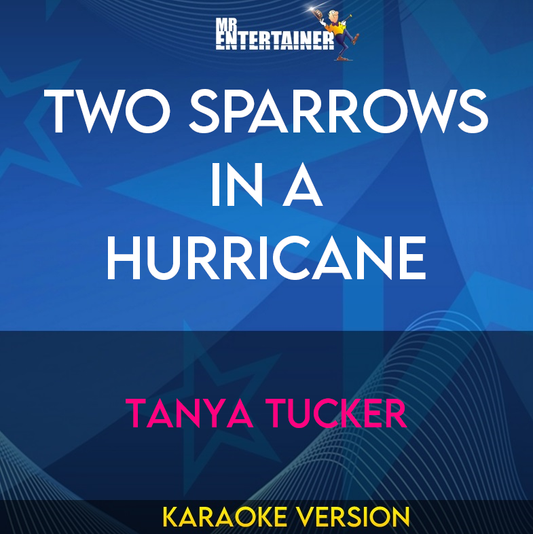 Two Sparrows In A Hurricane - Tanya Tucker (Karaoke Version) from Mr Entertainer Karaoke