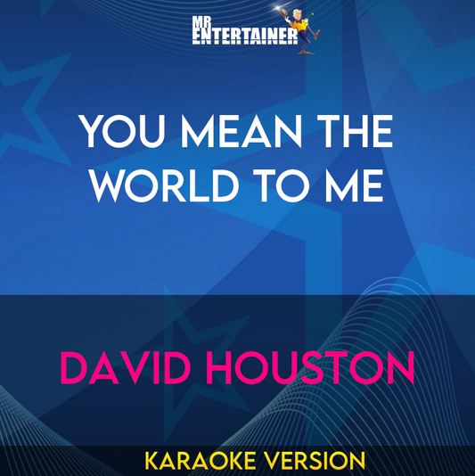 You Mean The World To Me - David Houston (Karaoke Version) from Mr Entertainer Karaoke