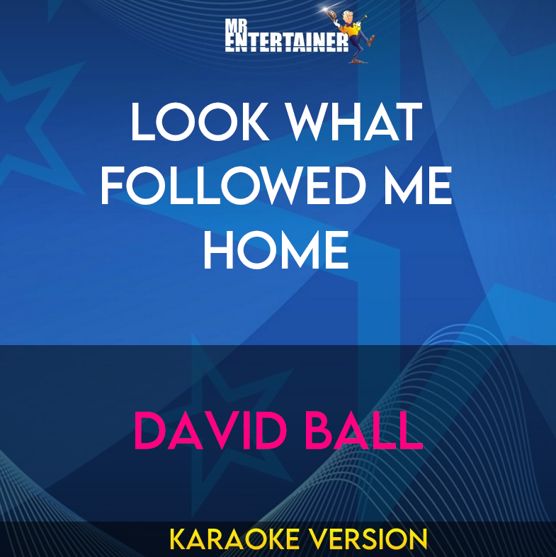 Look What Followed Me Home - David Ball (Karaoke Version) from Mr Entertainer Karaoke