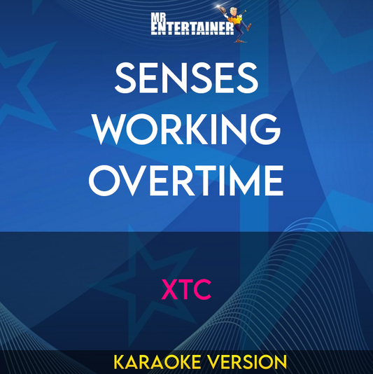 Senses Working Overtime - XTC (Karaoke Version) from Mr Entertainer Karaoke