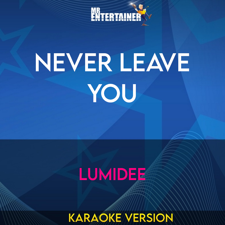 Never Leave You - Lumidee (Karaoke Version) from Mr Entertainer Karaoke