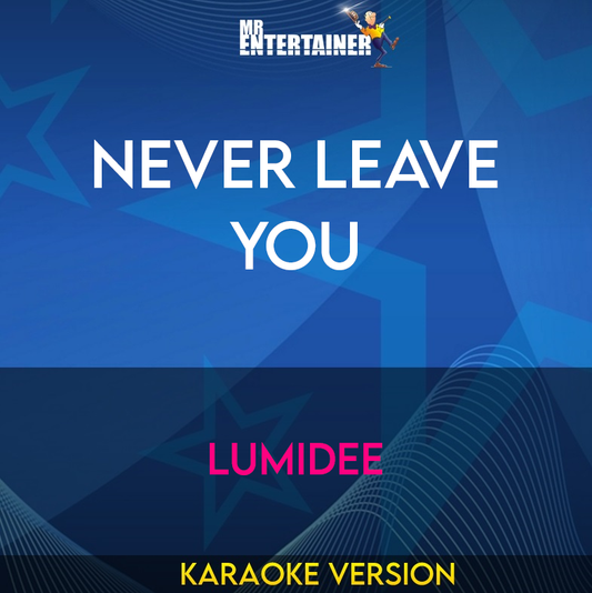 Never Leave You - Lumidee (Karaoke Version) from Mr Entertainer Karaoke