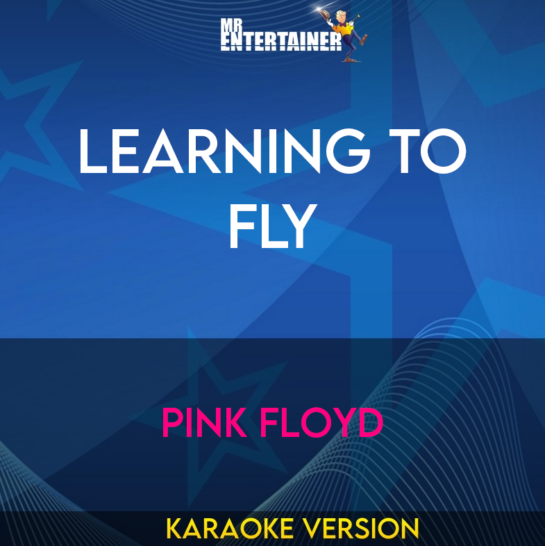 Learning To Fly - Pink Floyd (Karaoke Version) from Mr Entertainer Karaoke