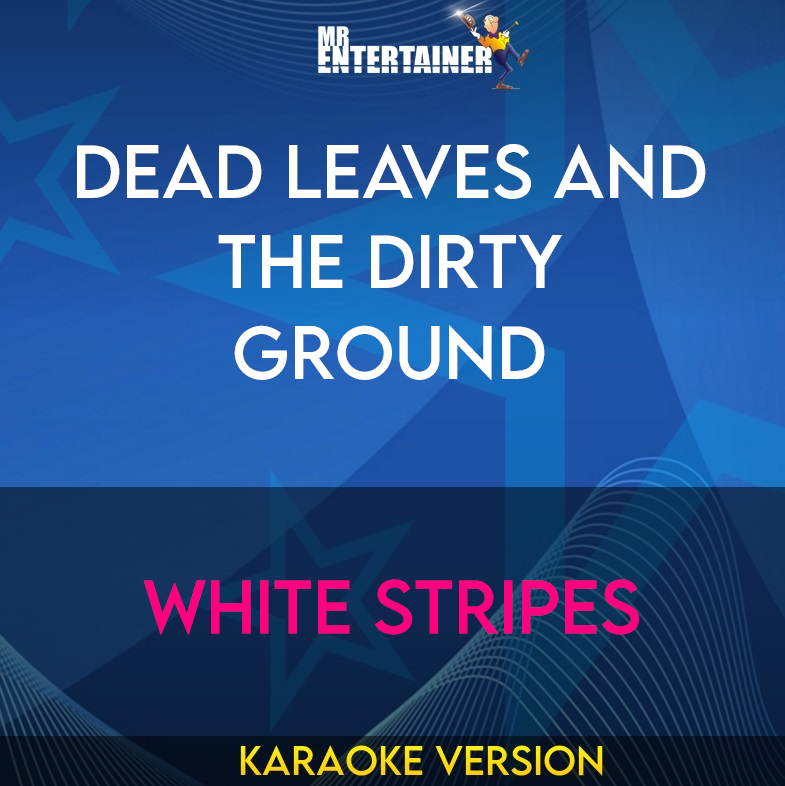 Dead Leaves And The Dirty Ground - White Stripes (Karaoke Version) from Mr Entertainer Karaoke