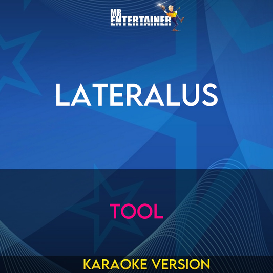 Lateralus - Tool (Karaoke Version) from Mr Entertainer Karaoke