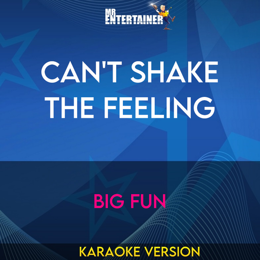 Can't Shake The Feeling - Big Fun (Karaoke Version) from Mr Entertainer Karaoke