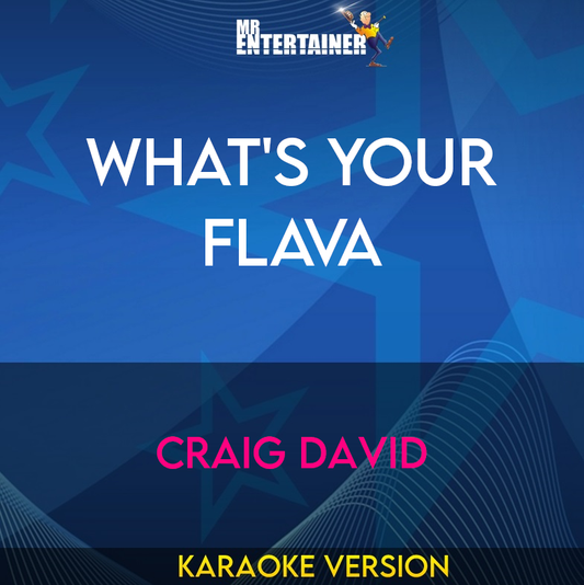 What's Your Flava - Craig David (Karaoke Version) from Mr Entertainer Karaoke