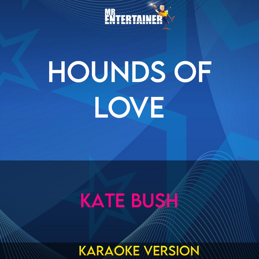 Hounds Of Love - Kate Bush (Karaoke Version) from Mr Entertainer Karaoke