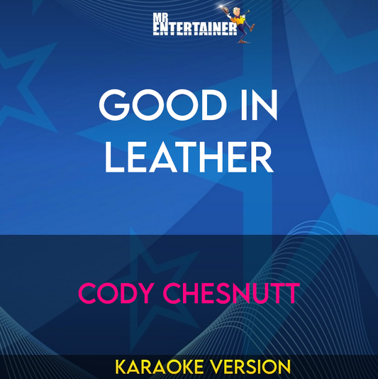 Good In Leather - Cody Chesnutt (Karaoke Version) from Mr Entertainer Karaoke
