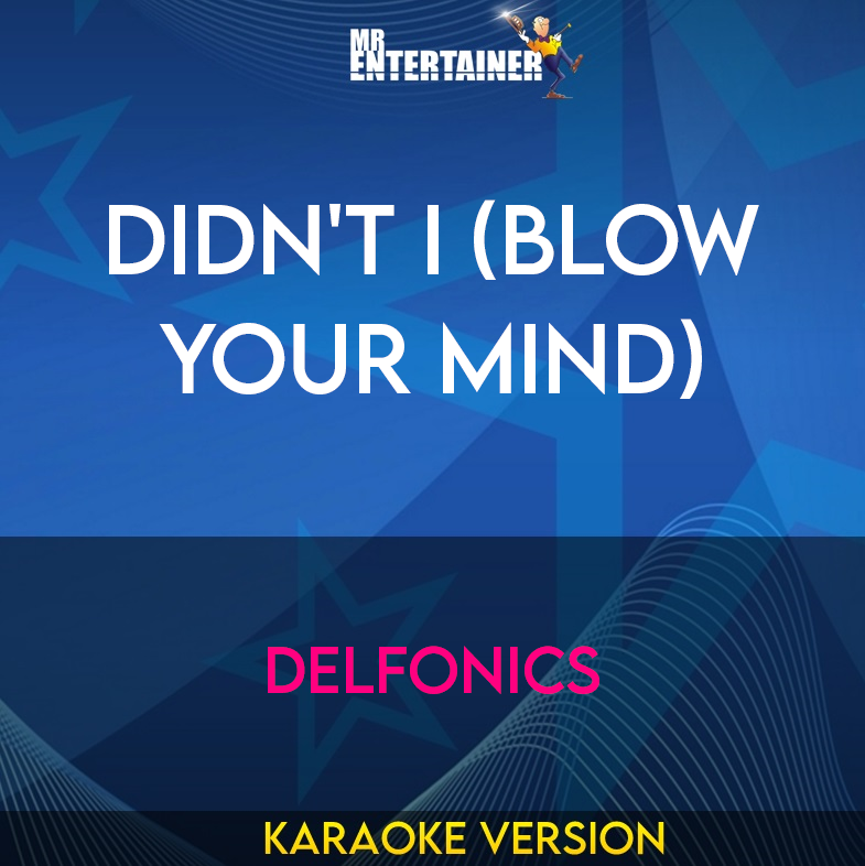Didn't I (Blow Your Mind) - Delfonics (Karaoke Version) from Mr Entertainer Karaoke