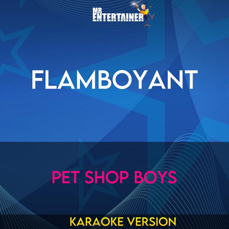 Flamboyant - Pet Shop Boys (Karaoke Version) from Mr Entertainer Karaoke
