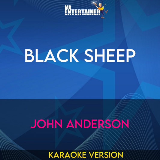 Black Sheep - John Anderson (Karaoke Version) from Mr Entertainer Karaoke