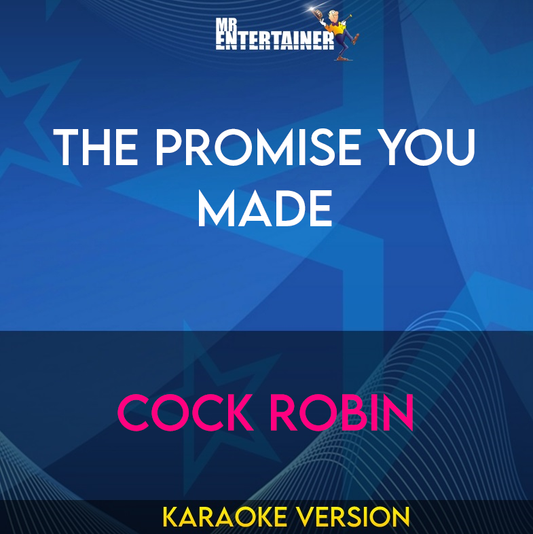 The Promise You Made - Cock Robin (Karaoke Version) from Mr Entertainer Karaoke