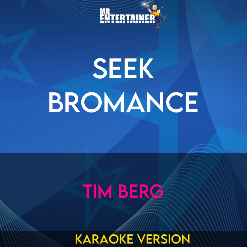 Seek Bromance - Tim Berg (Karaoke Version) from Mr Entertainer Karaoke