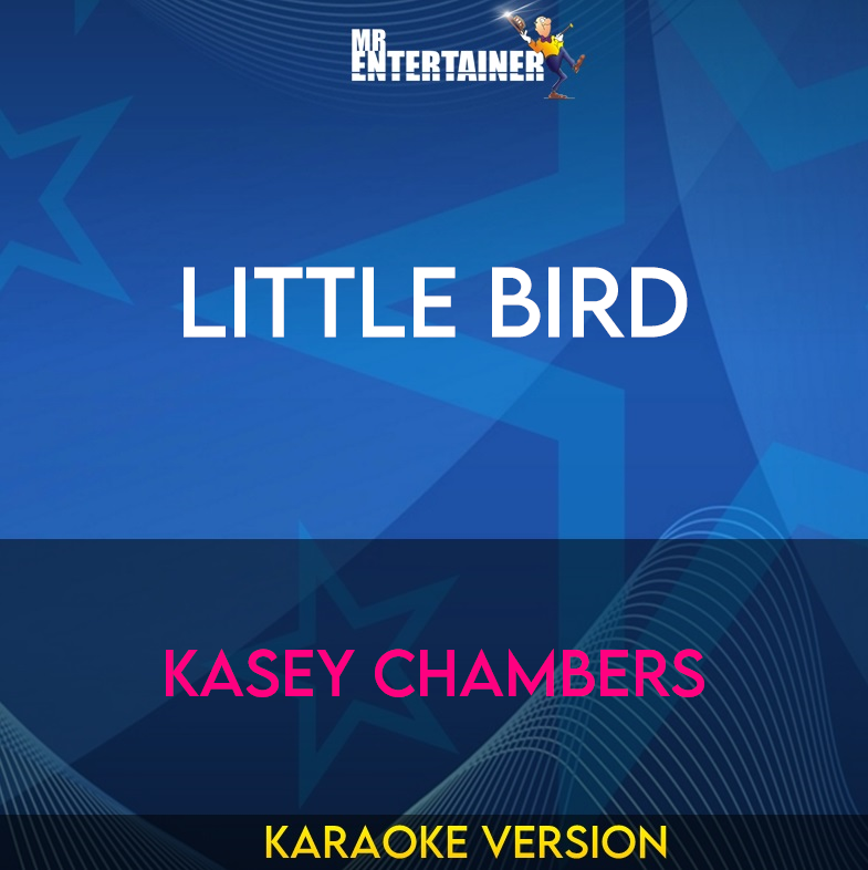 Little Bird - Kasey Chambers (Karaoke Version) from Mr Entertainer Karaoke