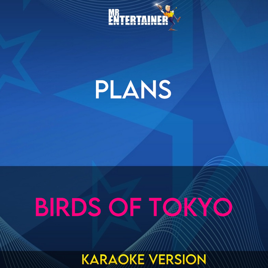 Plans - Birds Of Tokyo (Karaoke Version) from Mr Entertainer Karaoke
