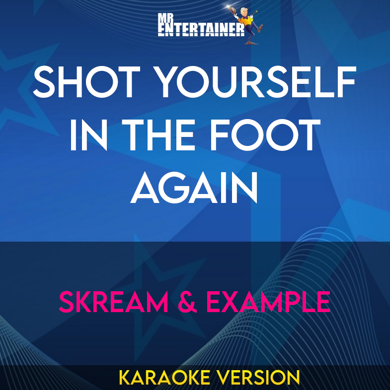 Shot Yourself In The Foot Again - Skream & Example (Karaoke Version) from Mr Entertainer Karaoke