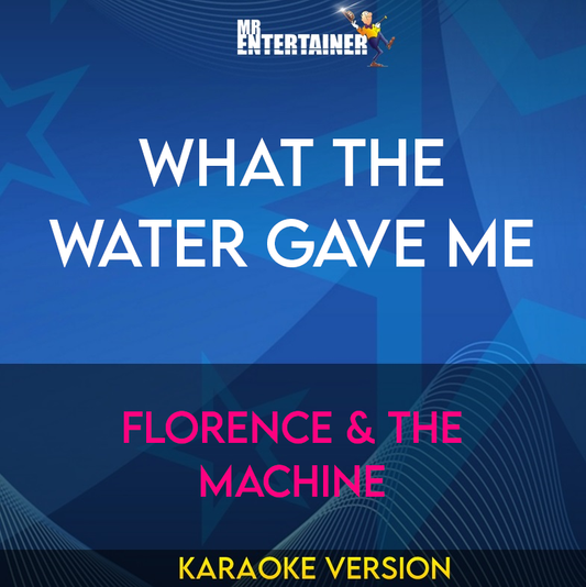 What The Water Gave Me - Florence & The Machine (Karaoke Version) from Mr Entertainer Karaoke