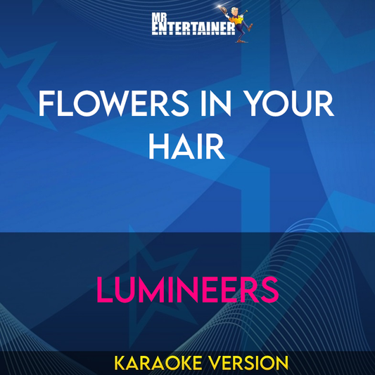 Flowers In Your Hair - Lumineers (Karaoke Version) from Mr Entertainer Karaoke