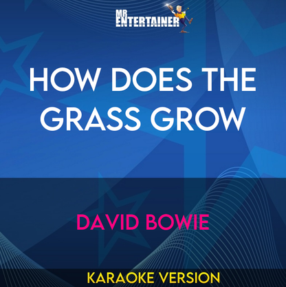 How Does The Grass Grow - David Bowie (Karaoke Version) from Mr Entertainer Karaoke