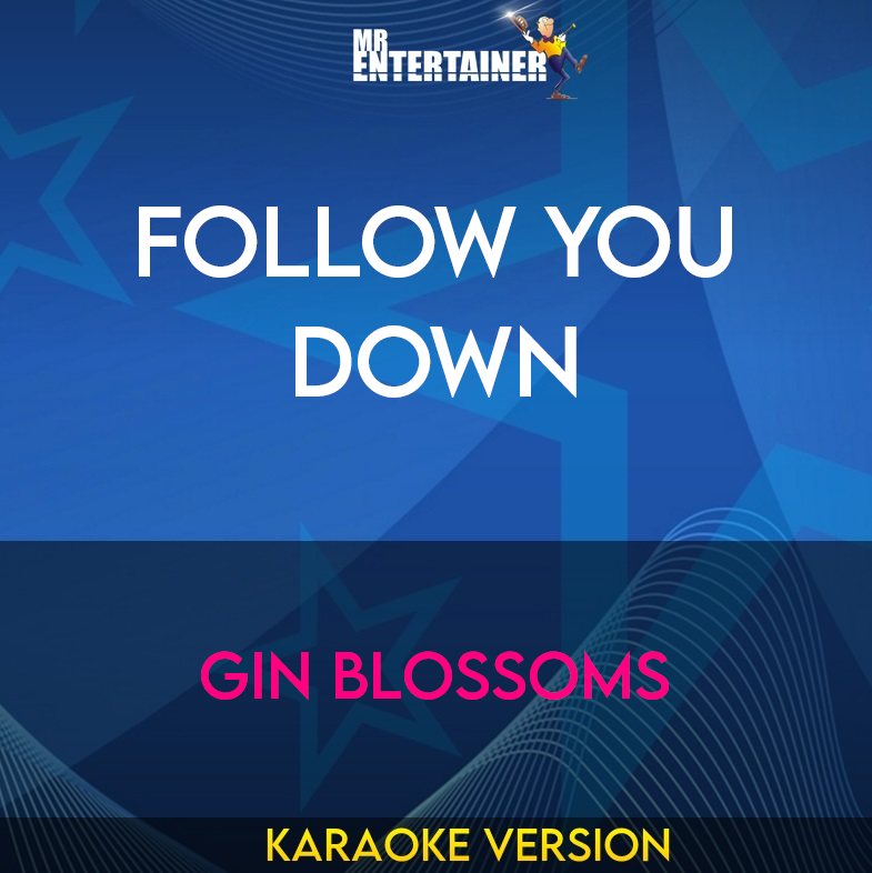 Follow You Down - Gin Blossoms (Karaoke Version) from Mr Entertainer Karaoke