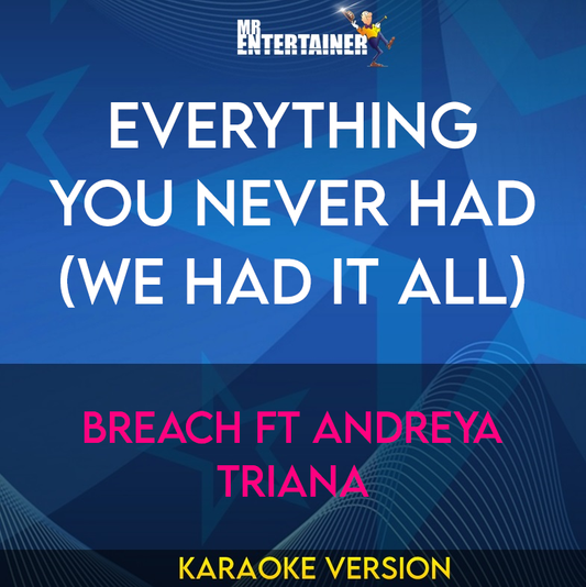 Everything You Never Had (We Had It All) - Breach ft Andreya Triana (Karaoke Version) from Mr Entertainer Karaoke