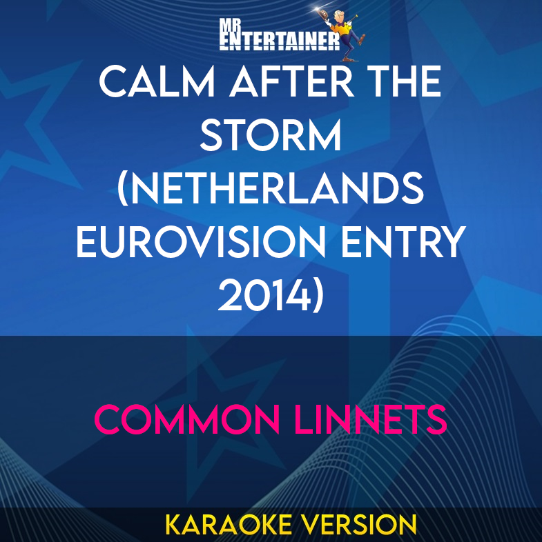 Calm After The Storm (Netherlands Eurovision Entry 2014) - Common Linnets (Karaoke Version) from Mr Entertainer Karaoke