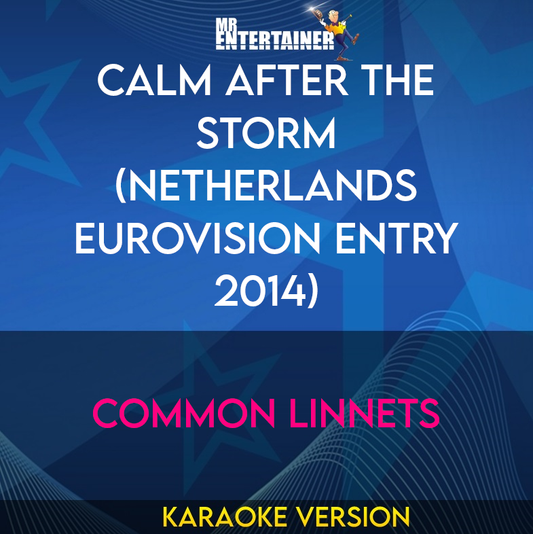 Calm After The Storm (Netherlands Eurovision Entry 2014) - Common Linnets (Karaoke Version) from Mr Entertainer Karaoke