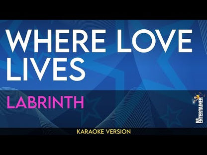 Where Love Lives - Labrinth