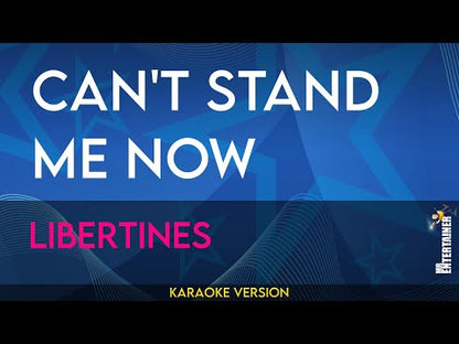 Can't Stand Me Now - Libertines