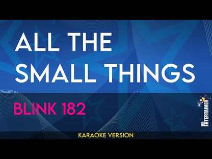All The Small Things - Blink 182