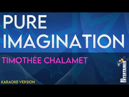 Pure Imagination - Timothée Chalamet