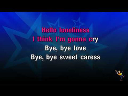 Bye Bye Love - Everly Brothers