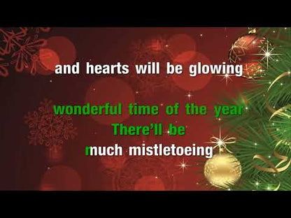 It's The Most Wonderful Time Of The Year - Andy Williams