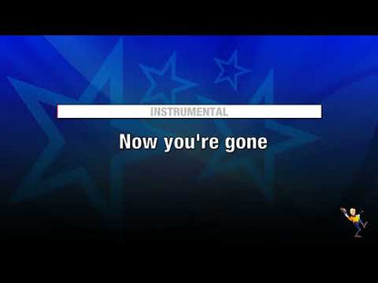 Now You're Gone - Basshunter